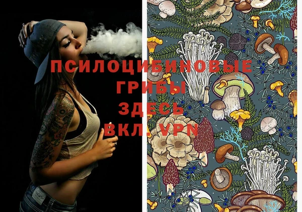 ГАЛЛЮЦИНОГЕННЫЕ ГРИБЫ Белоозёрский
