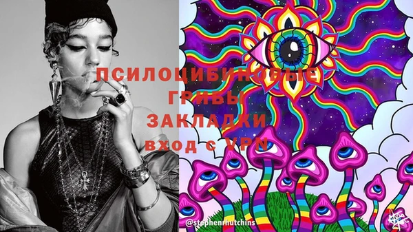 ГАЛЛЮЦИНОГЕННЫЕ ГРИБЫ Белоозёрский