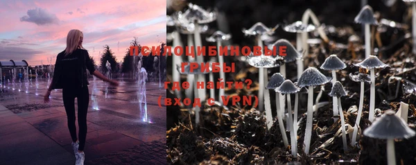 ГАЛЛЮЦИНОГЕННЫЕ ГРИБЫ Белоозёрский