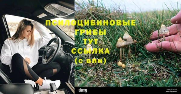 ГАЛЛЮЦИНОГЕННЫЕ ГРИБЫ Белоозёрский