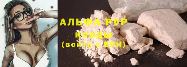 ГАЛЛЮЦИНОГЕННЫЕ ГРИБЫ Белоозёрский