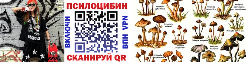 Псилоцибиновые грибы GOLDEN TEACHER  даркнет сайт  blacksprut ссылки  Георгиевск 