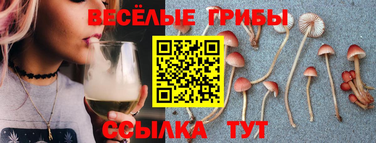даркнет сайт  Вход с VPN  Псилоцибиновые грибы Psilocybine cubensis  Георгиевск  Псилоцибиновые грибы Psilocybe 